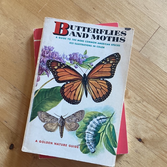 Set of 3 Vintage Golden Nature Guides - Picture 6 of 9